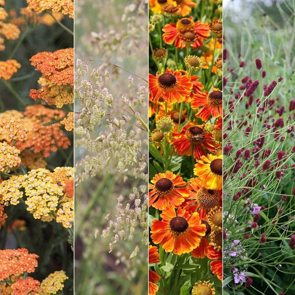 Contemporary Plant Combination 3 Contemporary Plant Combination