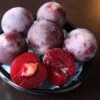 Plumcot 'Flavor King' (Pluot Series) -Garden Plant Store pl2000042740